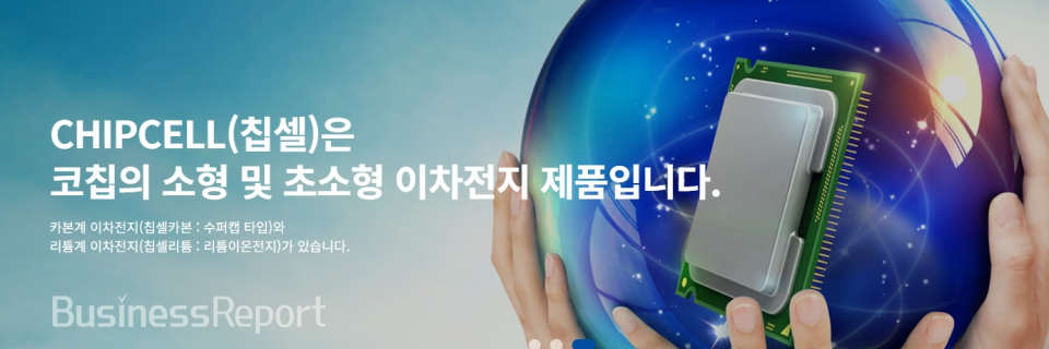[사진제공=코칩]