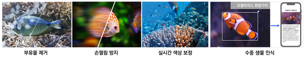 [사진= 아티슨앤오션]